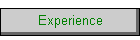 Experience